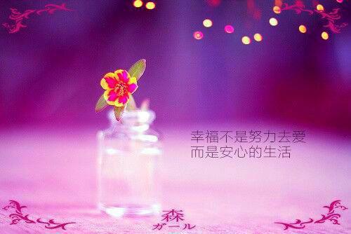 绝世游龙医王全文免费阅读 罗天柳如烟目录