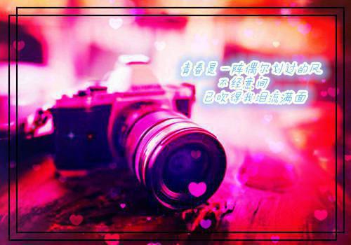 重生后,女友选择了男神结局柳如是小说免费阅读 温轻陆嵩赵枫最新章节