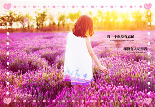 李展颜最后结局 李展颜完结版免费阅读