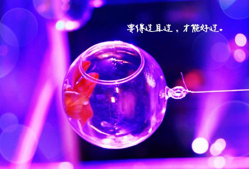 女主叫秦芯苒夏思华小说 为给初恋报仇，妻子将我扔在秦岭深处APP内免费阅读