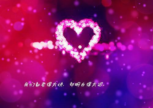 许知宜陆时卿免费阅读 许知宜陆时卿最新章节目录