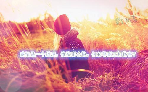 白露顾焱的小说 白露顾焱全文免费阅读