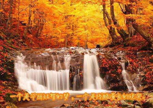 张岚秦苒小说在线阅读 张岚秦苒最新章节目录