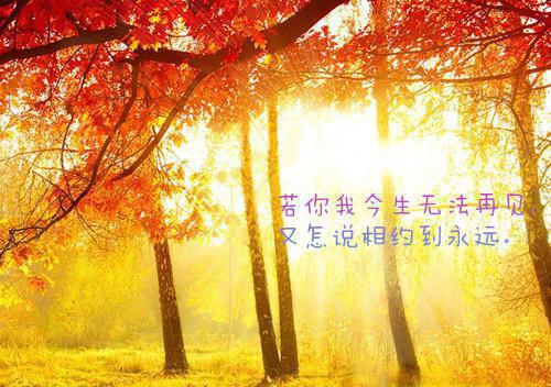 抢走凡人母亲后，姐姐后悔了小说全文 许觉夏刘媚玉凝知晴无弹窗在线阅读