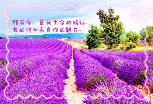 御前宫婢她过分柔弱首发小说 姝丽清妙在线阅读