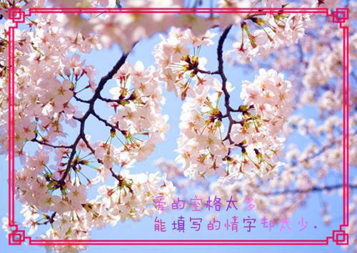 沈如烟沈冲陈知白小说全文阅读 沈如烟沈冲陈知白