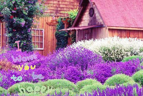 单槿韵沈逸筝小说在哪里看 单槿韵沈逸筝在线阅读第4章