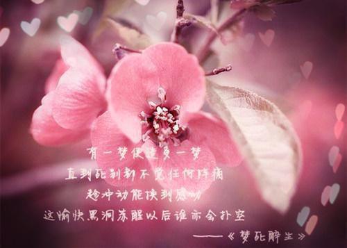 (最新)余歆歆顾知易小说完整版免费阅读