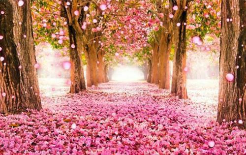 死去的白月光回来了免费试读 许玖玖裴明远许瑶小说第3章