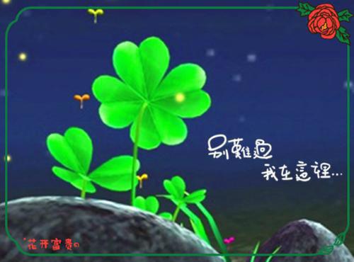 沈静初周淮安已完结_沈静初周淮安最新章节列表