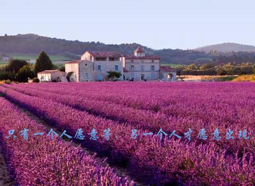 张小凡玉帝元神小说在线阅读 张小凡玉帝元神最新章节目录