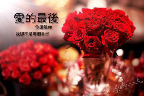 程亦深黎情小说目录 程亦深黎情完整免费版阅读