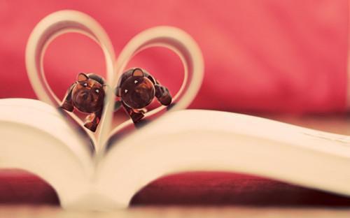 乔言心傅铭安小说章节免费阅读 乔言心傅铭安无弹窗