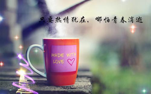 沈晚免费阅读 沈晚大结局