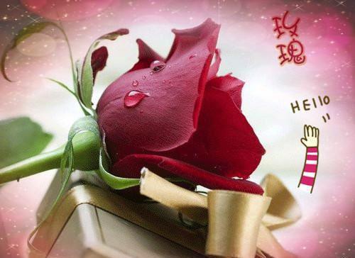 虞觉夏周淮砚全文免费阅读大结局虞觉夏周淮砚小说最新章节阅读无弹窗