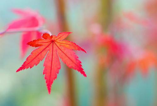 谁懂！我突然被夫君和陌生男争爱了沈惊游姜芙蕖无弹窗免费阅读全本小说