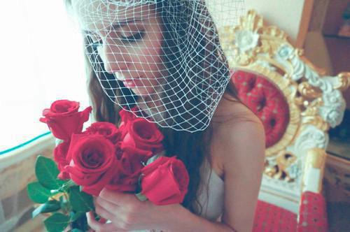 陆禹沈昭小说 陆禹沈昭免费章节阅读