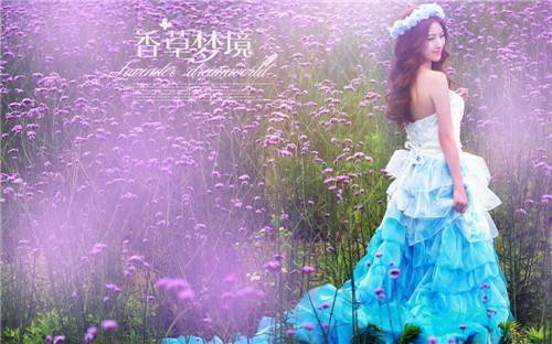 主角王小北小说 王小北小说全文免费阅读