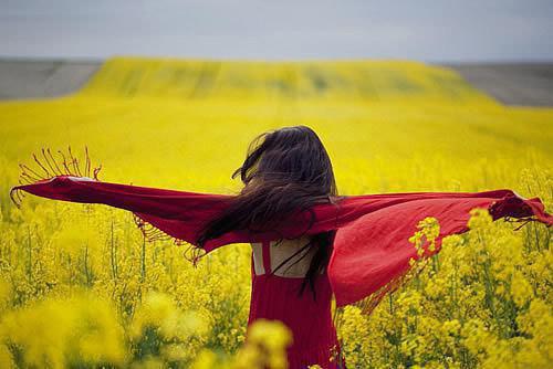 赵云淞周奇昀林含笑小说最后结局 赵云淞周奇昀林含笑完结版免费阅读