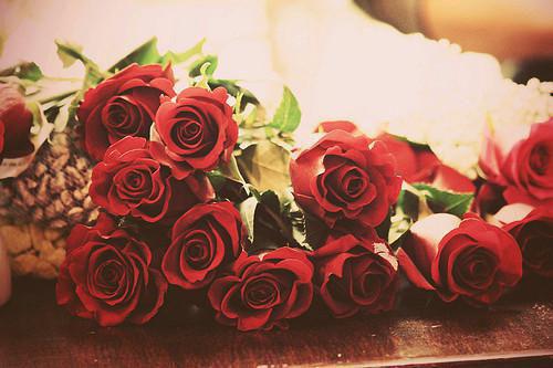 散会后,禁欲总裁叫我宝宝小说完整版 苏晴傅成焰在线阅读