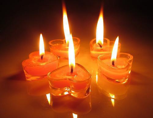 主角骆望尘姜岁然小说免费阅读最新章节