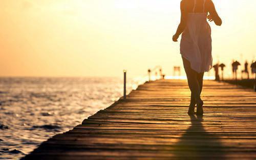 宋倩江野宋岚小说目录 宋倩江野宋岚完整免费版阅读