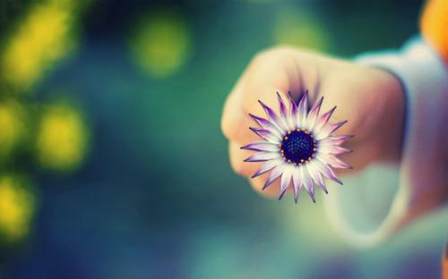 (薛灵薇顾松鹤)全文免费阅读无弹窗大结局_薛灵薇顾松鹤免费最新章节列表