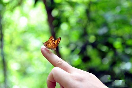 重生后，我在职场吊打渣女全文目录 林茵茵傅铭小说无删减无弹窗阅读