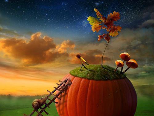 她的世界，在这一刻彻底崩塌(完整版)全文免费阅读顾念宋迟筵小说