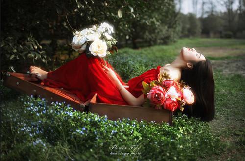 虞归晚宋予安江慕白完整未删减版在线阅读 虞归晚宋予安江慕白结局