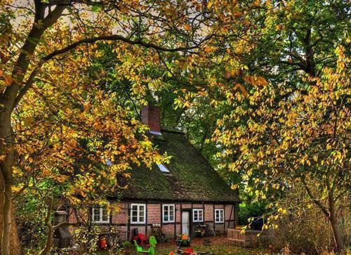 合欢双姝不想被证道最新章节免费阅读 乔渊怀舒谢听寒琉月未删节小说