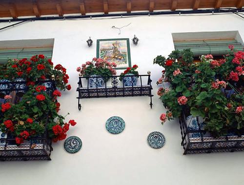 裴远洲薛舒窈无弹窗 曾有暗香来裴远洲薛舒窈全文免费阅读