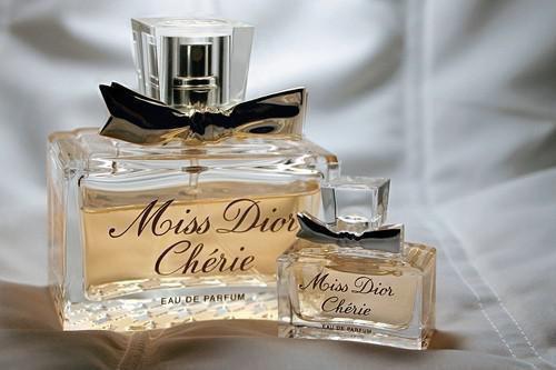 《被装瘸室友道德绑架后我杀疯了》最新章节by佚名结局在线阅读