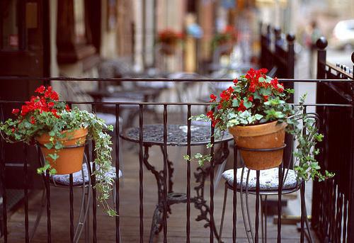 (抖音小说)简素余淮琛免费阅读第2章