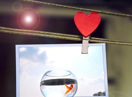 十年爱烬目录 简绒牧辰姜杳无弹窗阅读