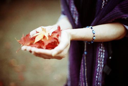 江时瑾陆晚枝（重生逆宠偏执大佬的心尖好会撩）全文免费阅读-（江时瑾陆晚枝）重生逆宠偏执大佬的心尖好会撩最新章节小说阅读