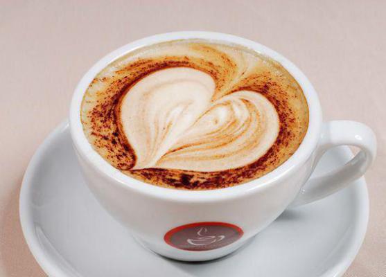 同桌的开学新人设小说 陆菲杨言在线阅读