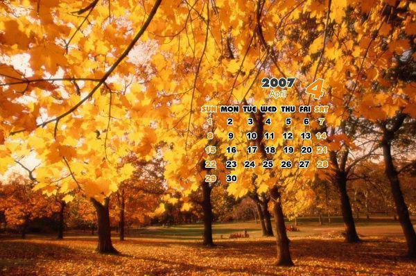 主角沈飞雪陆祁小说免费阅读最新章节