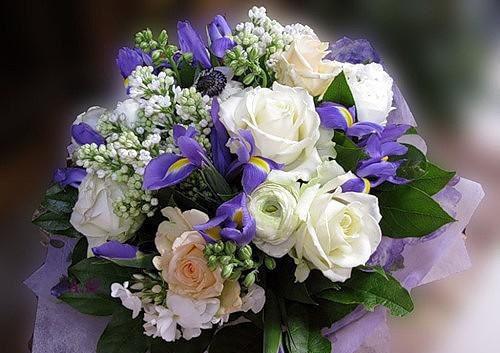 主角孟秋遥孟知浔小说 孟秋遥孟知浔小说全文免费阅读