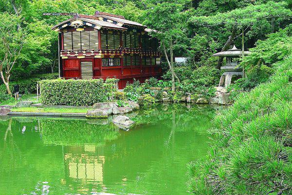 南宫影玉芷若沈云舒是啥小说 南宫影玉芷若沈云舒免费阅读无广告