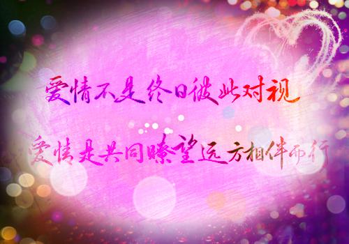 贺兰隽宋惜月宋惜月贺兰隽完整全文在线阅读宋惜月贺兰隽抖音热推小说全集无删减