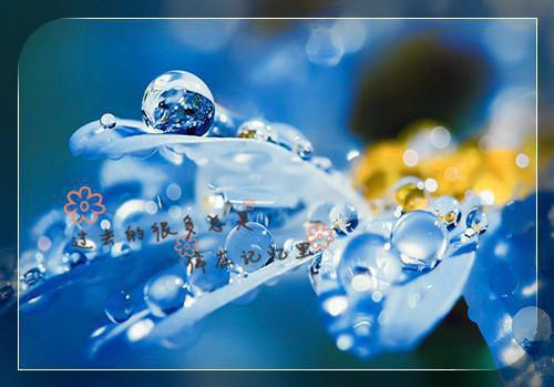 姜南溪宋闻璟免费阅读无弹窗 姜南溪宋闻璟最新章节