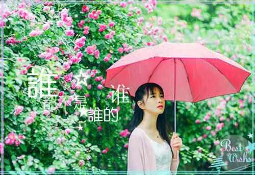 苗疆记事全文免费阅读 夏眠乌时羽小说全本资源