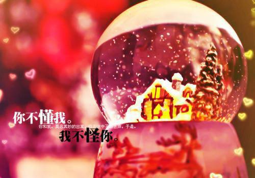 宋言溪顾景洲小说 宋言溪顾景洲完整版免费阅读