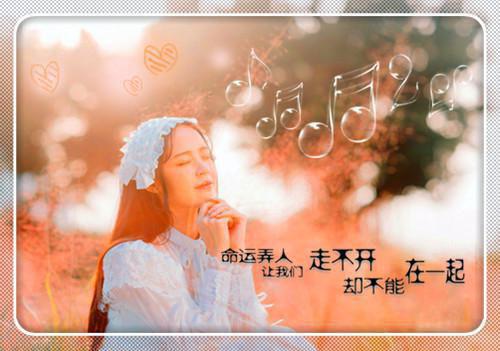 瑟瑟北海张松涛商陆小说在线阅读