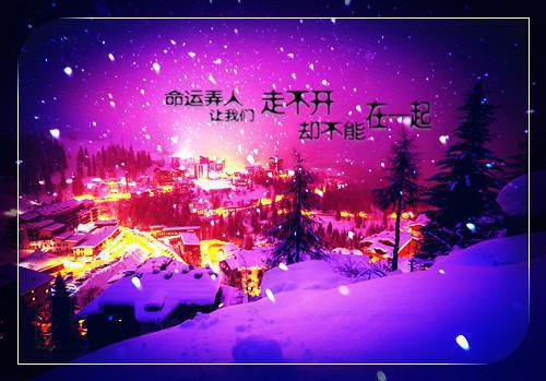 江隽沈雪宁全文最新章节正版小说免费阅读