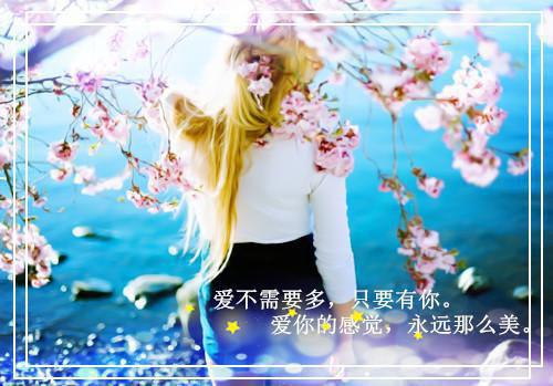 夏玲宋雷苗杰主角的书 爱如死水全文阅读免费