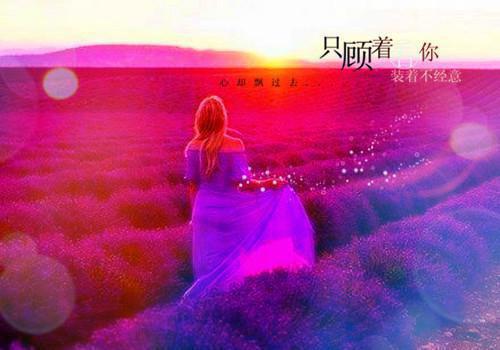 陆南溪傅屿深免费阅读小说 陆南溪傅屿深第四章