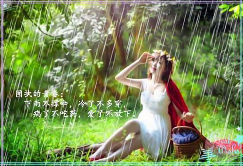 温蓉蓉夜北辰小说全免读 温蓉蓉夜北辰第四章在线阅读