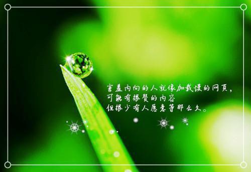 杨念小说叫什么 杨念小说全文免费阅读